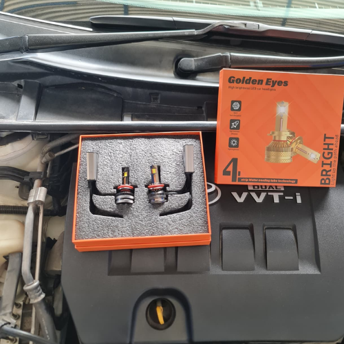 Golden Eyes 1200 WH11